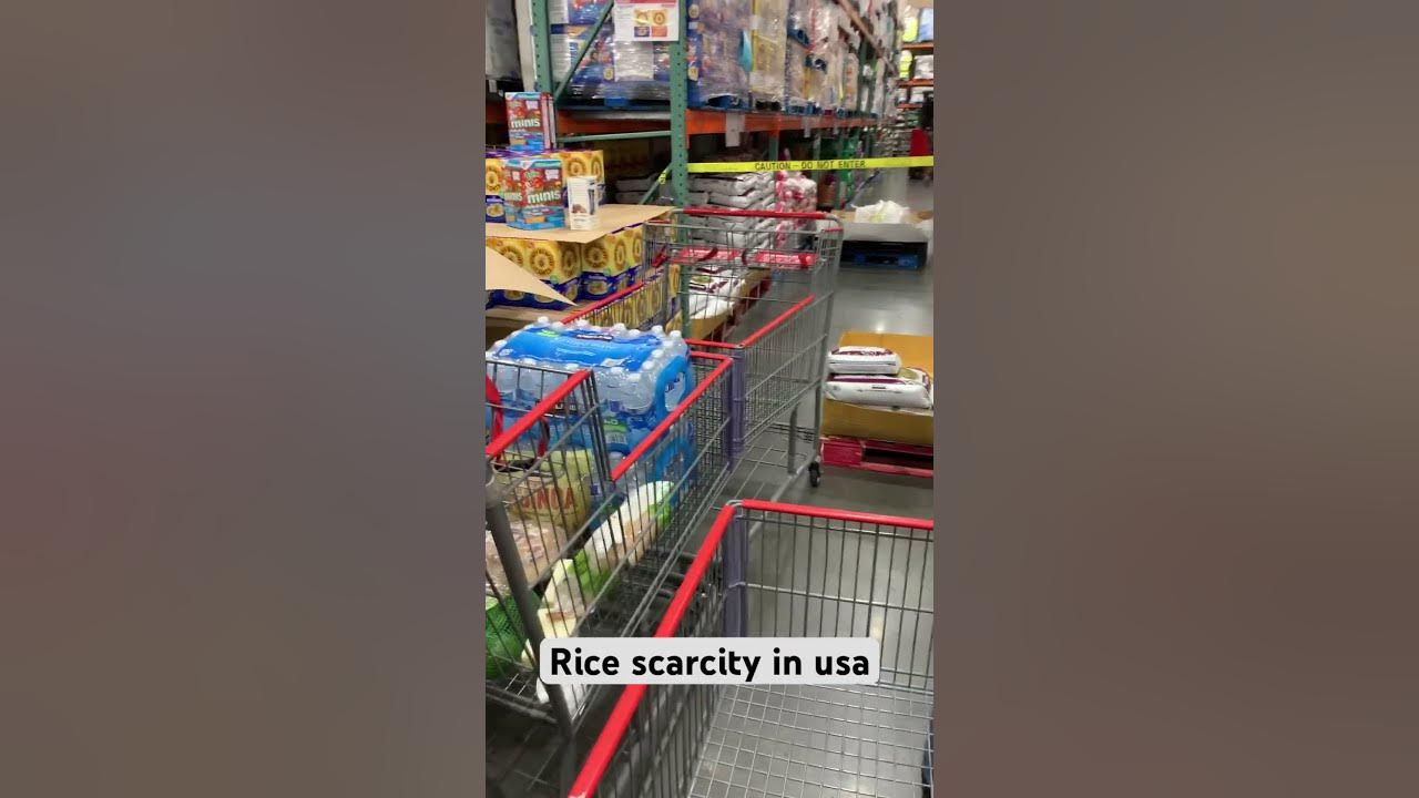 shortage-of-rice-in-usa-hindivlog-youtube