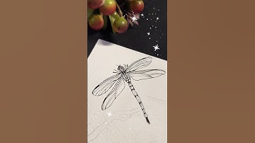 How to draw a dragon fly #shorts #shortfeed #howto #draw #dragonfly #pen