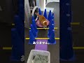 【衝撃】5kg減量に成功した猫の「水中ウォーク」がすごすぎる…!🐾