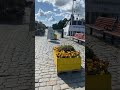 ياحبيبي اتمخطر