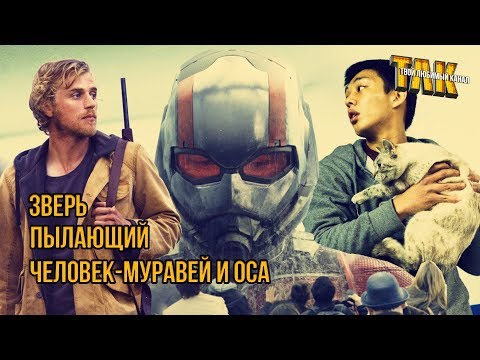 Кадры из фильма Пылающий