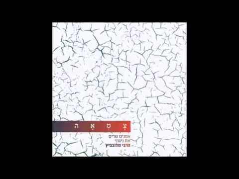 ארז לב ארי כי אנו עמך מתוך אלבום צמאה 1 