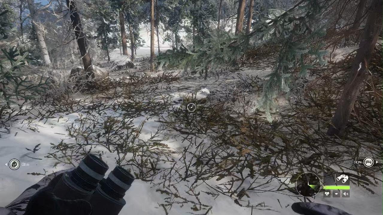 theHunter: Call of the Wild_20260304164806