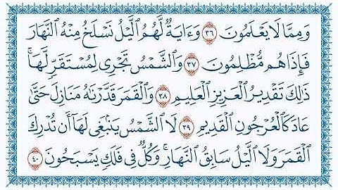 سورة يس   36      الحافظ علي حسن داود    رحمه الله