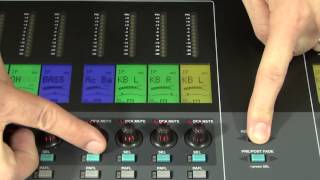 iLive Surface Basics Faders