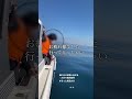 お父さんを海洋散骨て見送る　大分県別府市より