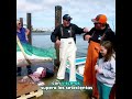 Sea fishing for bluefin tuna #bluefintuna #bluefintunafishing #fishing #tuna