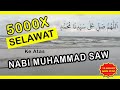 1000x SOLAWAT اَللَّهُمَّ صَلِّ َعلى سيدنا مُحَمَّدٍ - AMINAZLI Daily Dhikr 🥰 | Daily reminders