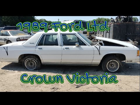 1989 Ford LTD CROWN VICTORIA SOLO CRUSH!🥶🥶😱🥶😱😱