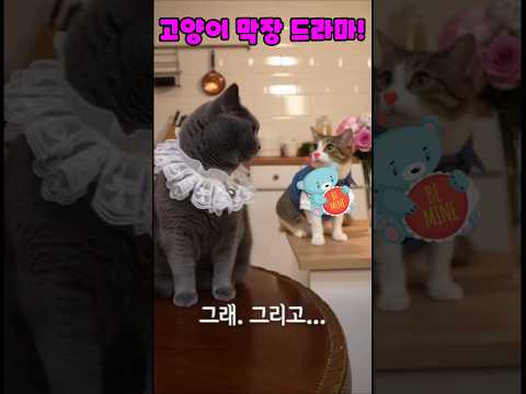 고양이막장드라마#냥이코믹쇼츠#냥이연기력폭발#funnycat#고앙이티키타카#냥이대서사시#고양이상황극#고양이드라마틱##귀여운고양이 소라2 #sora2