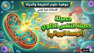 حصلية وملخص التنفس كاملا