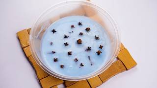 Smelly Odor Houses Become 5-Star Hotel Instantly! How to Make Your Home Smell Expensive