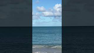 Sounds of Peaceful Rest#nature #beach #relaxation #meditation #?‍️