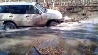 Hadera Forest 14/112009 - 1