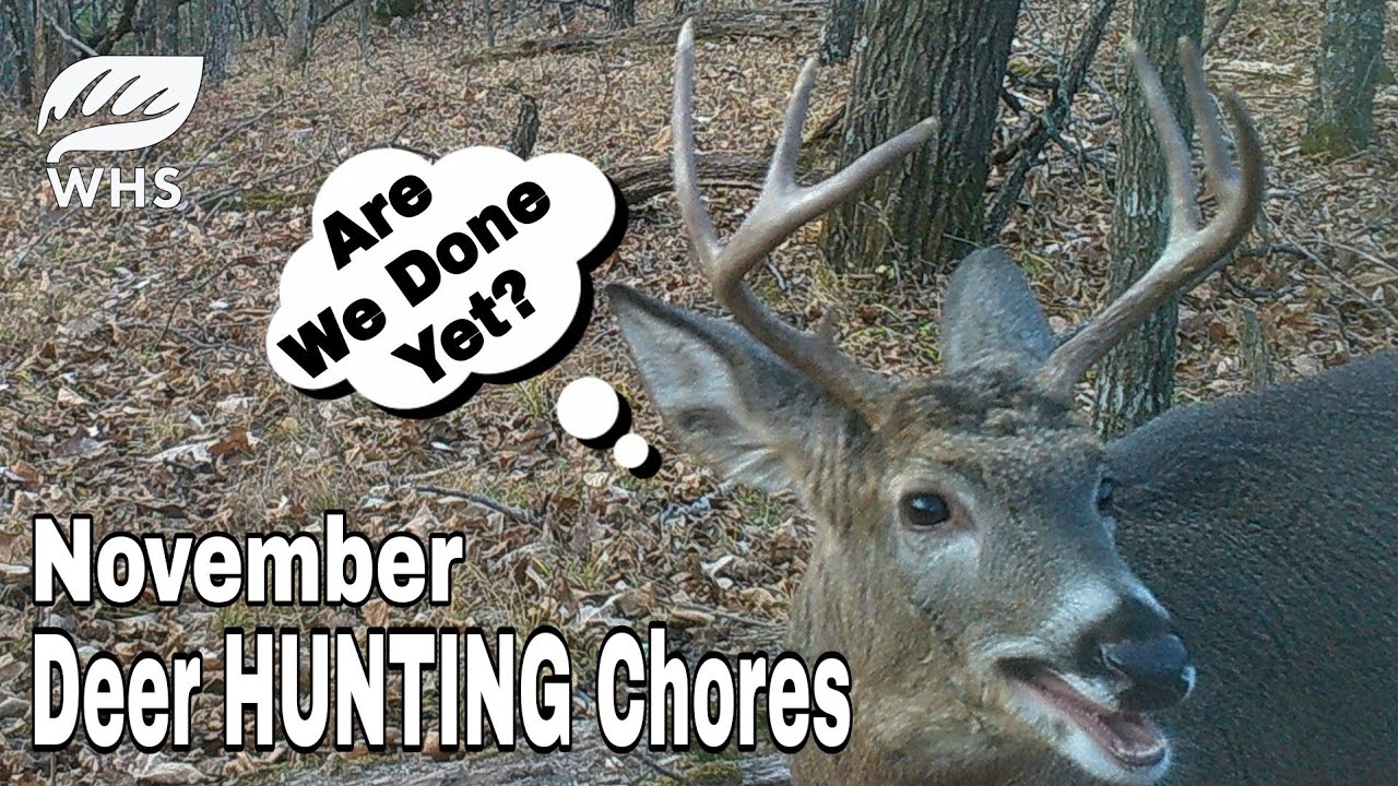 November Deer Hunting Chores YouTube
