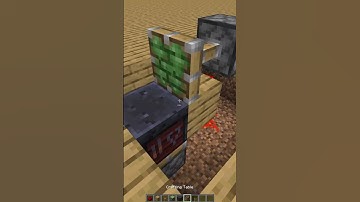 Minecraft Block Swapper Tutorial #shorts