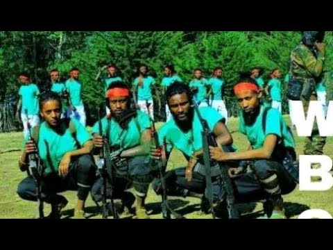 Imala Qabsoo Bilisummaa Oromoo WBO