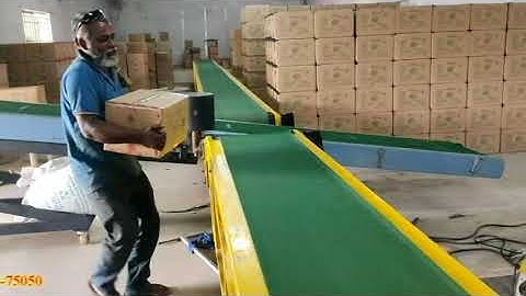 Carton box loading/unloading conveyor - butterfly conveyor in Erode tamilnadu