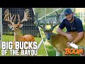 The biggest bucks of the bayou at boom whitetails