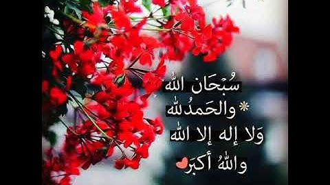 سورة الانبياء من الايه (95--112) للقارئ برهان فرحان مقام الصبا وبعض من فروع البيات