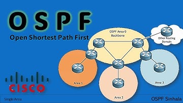 OSPF Explained Sinhala | Part 1