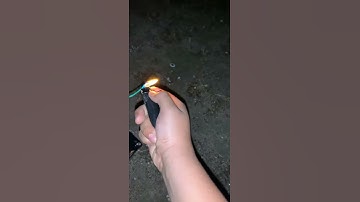 Barely Legal 5” Inch Canister Shells