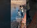 Watch This Puppy Meet a Kitten for the First Time
