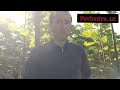 2 yillik Pavloniya plantatsiya