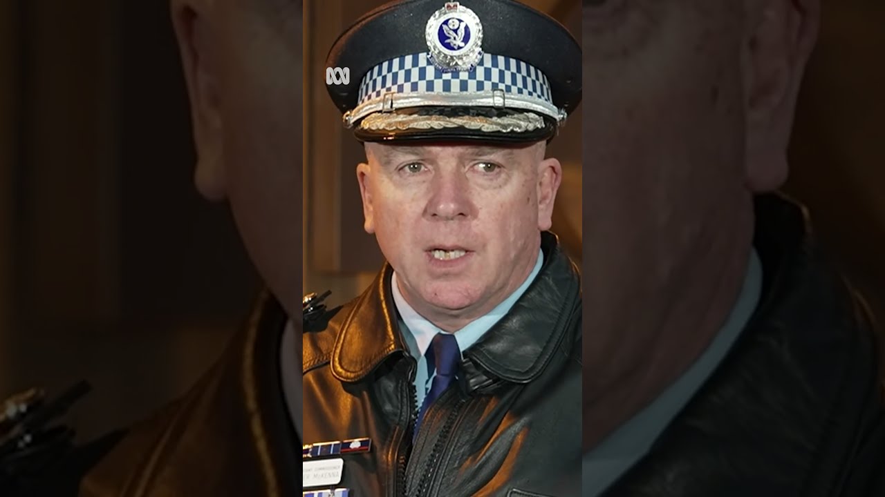NSW Police On The Sydney Harbour Bridge Protest ABC NEWS