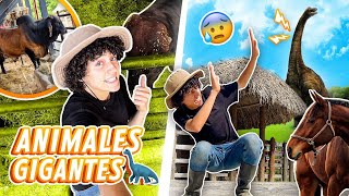 ¡ANIMALES GRANDES! 😱 | La Granja del Borrego