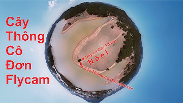 [ Góc Nhìn FlyCam ] Cây Thông Cô Đơn Đà Lạt Cuối Xuân