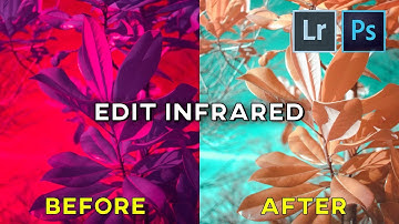 How to Edit Infrared Photos in Lightroom and Photoshop