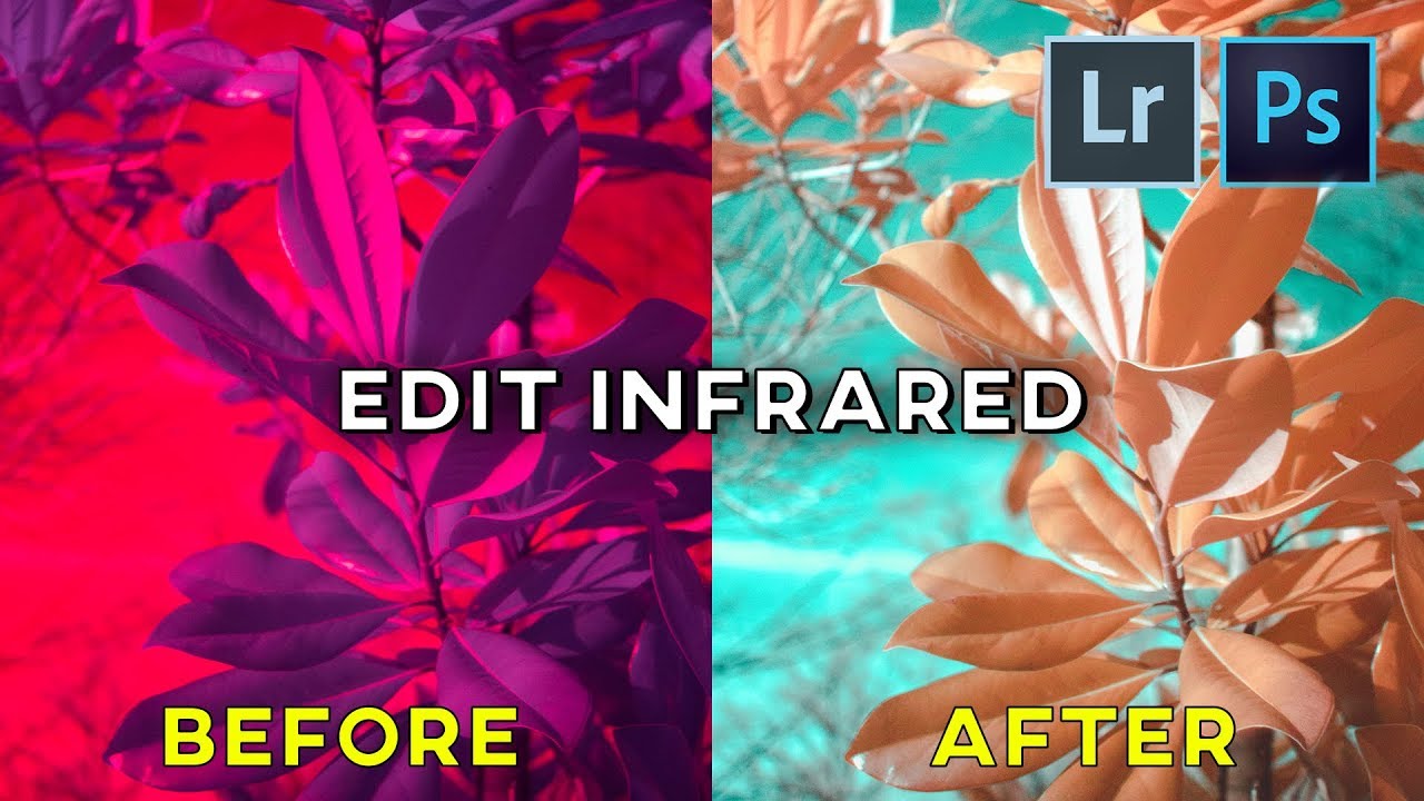 How to Edit Infrared Photos in Lightroom and YouTube