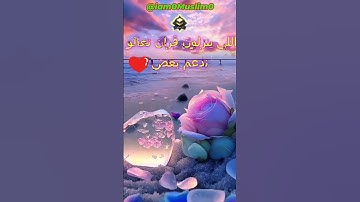 القارئ الصغير الذي حير مشاهير القراء بخشوع صوته الجزء  312 #قران #قران كريم #قراند #quran #quran alk