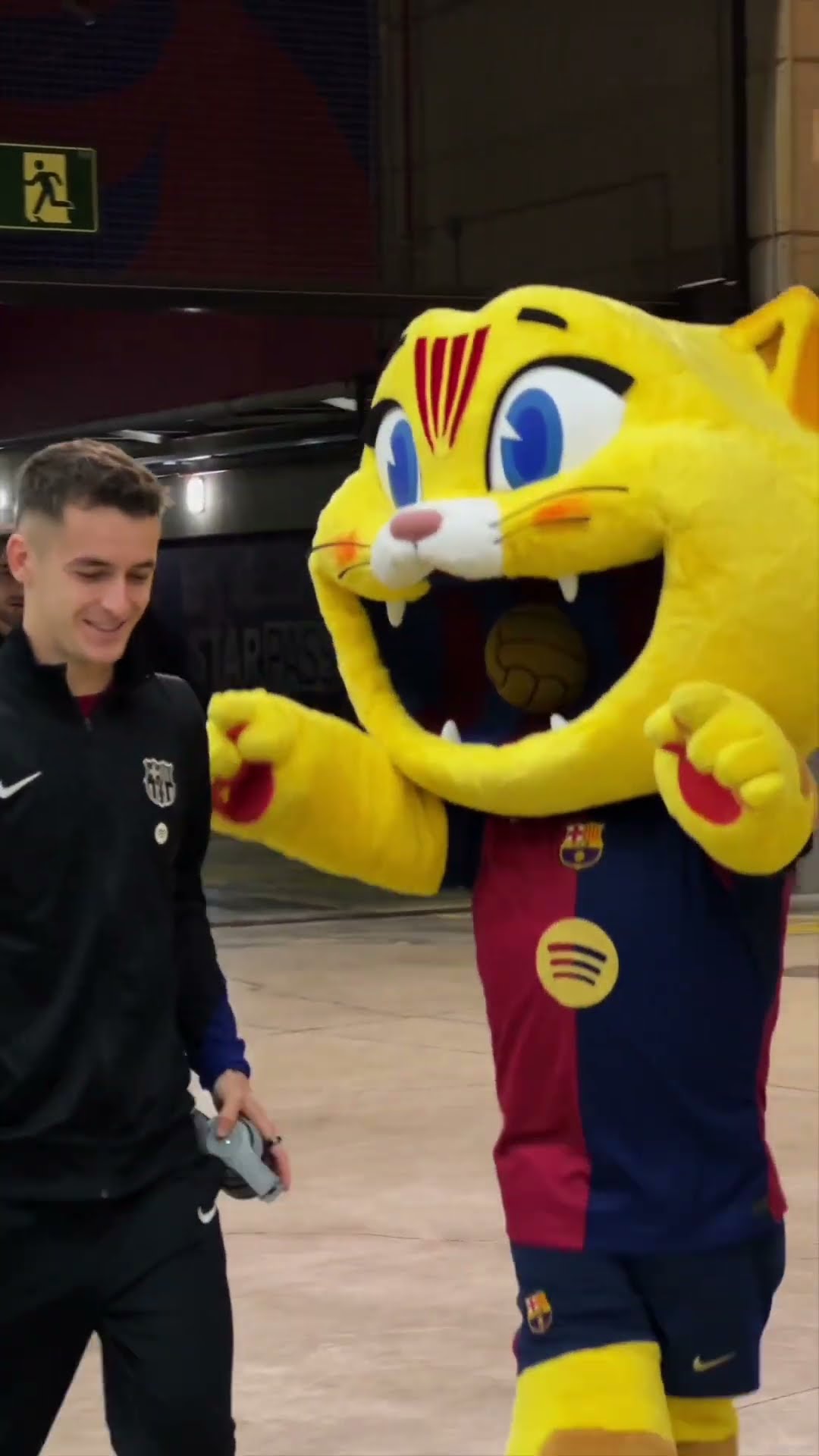 Cat welcoming the team ? #fcbarcelona #cat #shorts