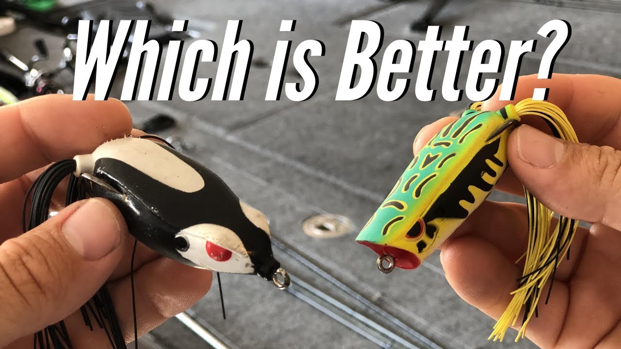 Watch Best Frog For Bass Fishing? (Frogs And Colors Explained