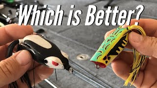 Best Frog For Bass Fishing? (Frogs And Colors Explained) 