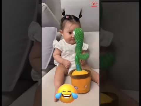 ههه يا حبيبتي