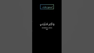 سورة الحج وأذن في الناس بالحج يأتوك رجالا بصوت القارئ ياسر الدوسري #ياسرالدوسري #قرآن #قرآن_كريم