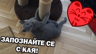 :    !