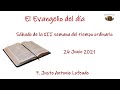 El Evangelio del día. Sábado XII semana del tiempo ordinario. P. Justo Antonio Lofeudo. (26.06.2021)