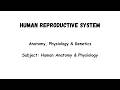 Human Reproductive System Explained | Menstrual Cycle, Pregnancy &amp; Contraception