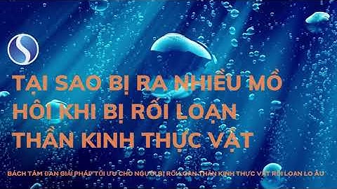 Tại sao bị ra nhiều mồ hôi khi bị rối loạn thần kinh thực vật