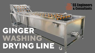 Ginger washing and drying line #gingerplant #ssengrindia