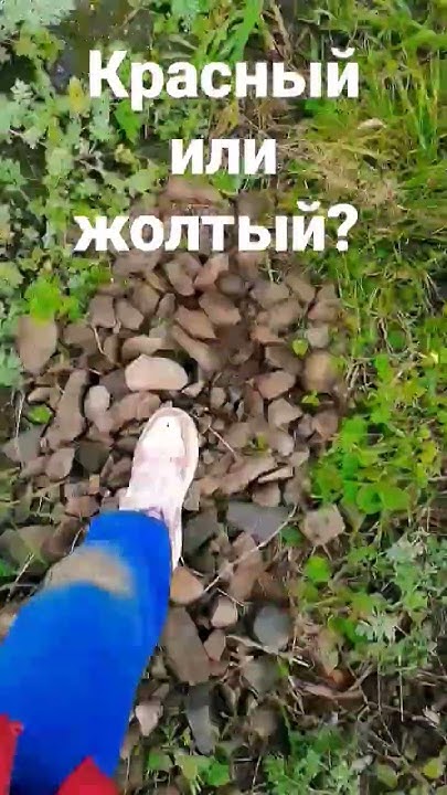 красный или жолтый - YouTube