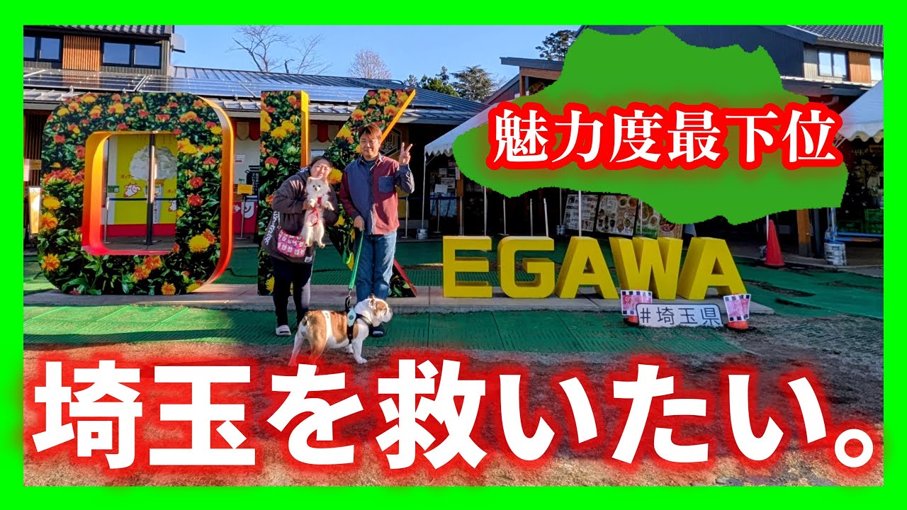 【犬連れ車中泊】魅力度最下位の県を救えるのか？！ミルク動きます！
