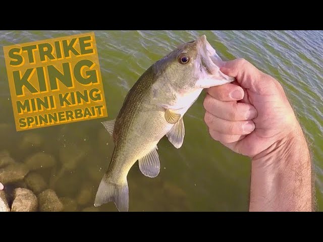 Strike King MINI King 🤴 Spinnerbait Bass Fishing 