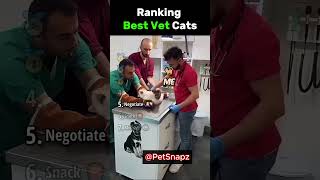 Ranking Best Vet Cats 🩺