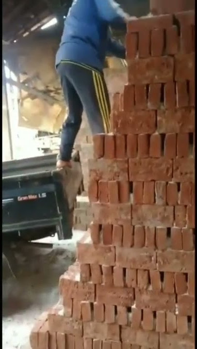 Jangan Malu di Lihat Kuli Malulah Ketika di Lihat Lagi Coli #shorts