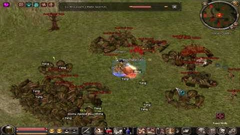 Metin2 UK TS killing 90lvl metin stone on lion